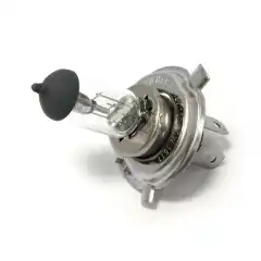 <h1>H-4 LIGHT BULB, 12V 90/100 WATT</h1>

<p>- For off road use only - Replacement for regular H4 halogen light bulb fitting</p>
