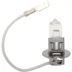 <ul>
	<li>Halogen bulbs</li>
</ul>
<br />
Brand<br />
-DRAG SPECIALTIES<br />
Vendor part number<br />
-H3-PK22S-55<br />
Bulb Type<br />
-Halogen<br />
Bulb/Light Color<br />
-White<br />
Fits Bulb Socket<br />
-PK22s (H3)<br />
Function/Filament<br />
-Single<br />
Number of Bulbs<br />
-1<br />
Product Name<br />
-Bulb<br />
Type<br />
-Headlamp<br />
Units<br />
-Each<br />
Volts<br />
-12 V<br />
Watts<br />
-55 W